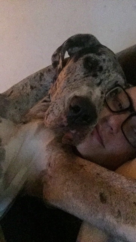 Klicka för att förstora LivetLeker skickade en bild