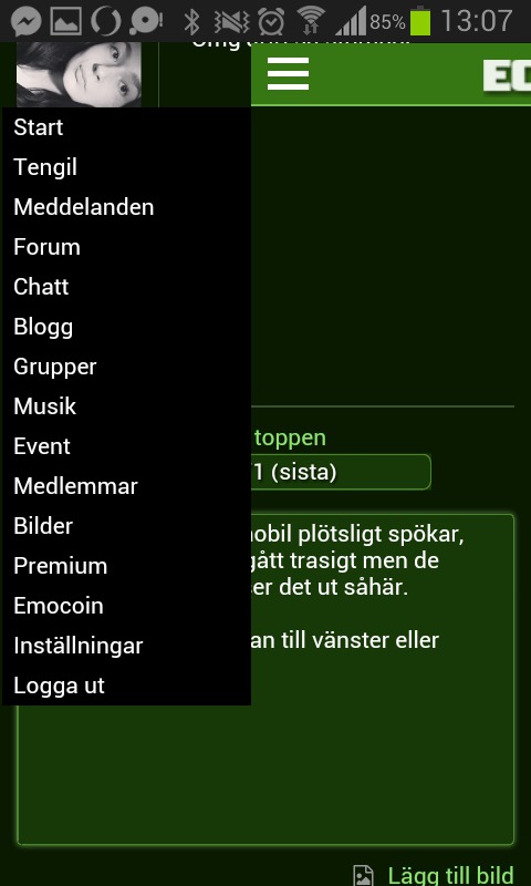 Klicka för att förstora Tengil skickade en bild