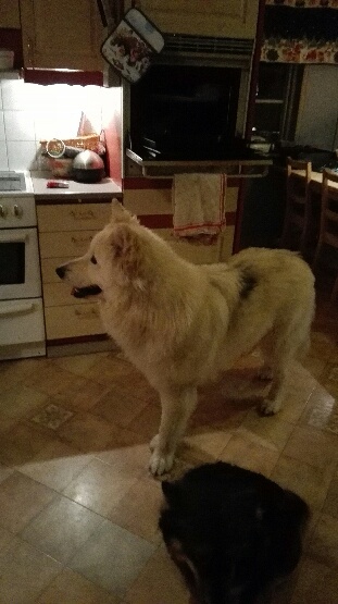 Klicka för att förstora Prinsen skickade en bild