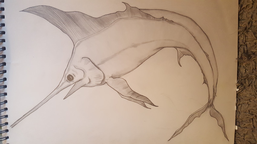 Klicka för att förstora onlinedigital skickade en bild