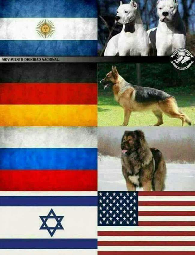 Klicka för att förstora vxors skickade en bild