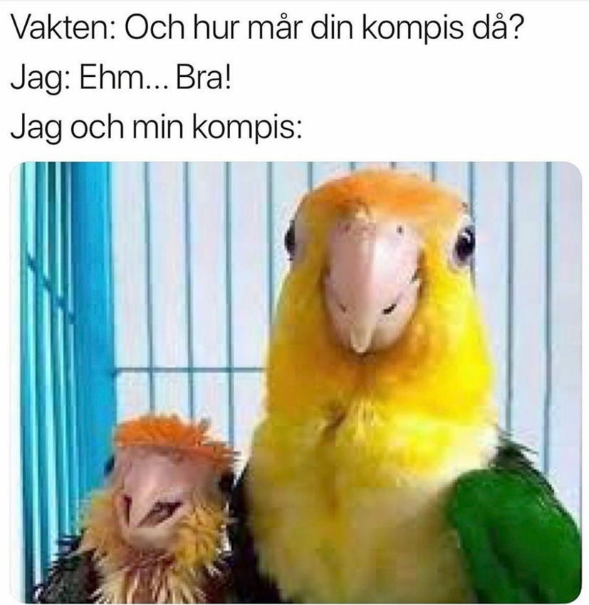 Klicka för att förstora PsykosTripp skickade en bild