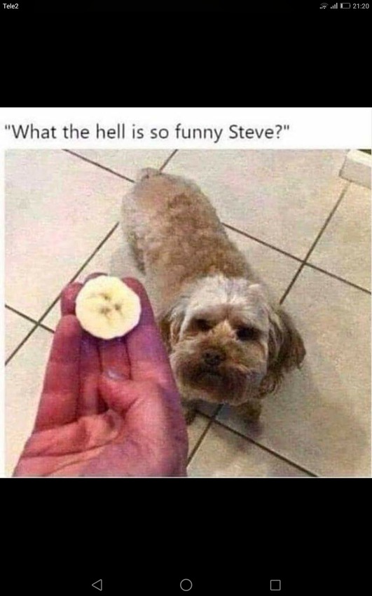 Klicka för att förstora PsykosTripp skickade en bild