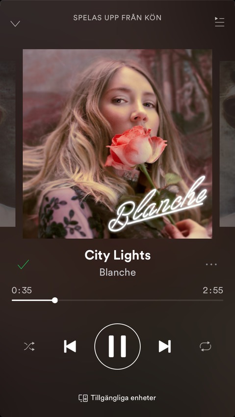 Klicka för att förstora bajenpundaren skickade en bild