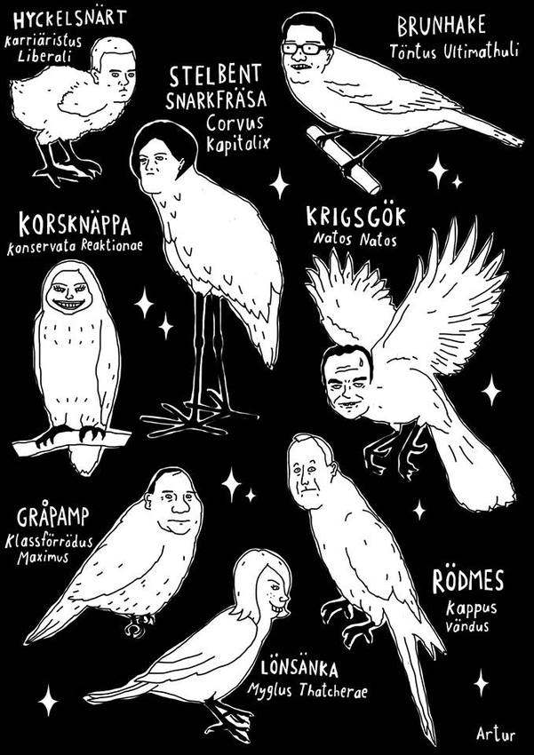 Klicka för att förstora Yoggiyalla skickade en bild