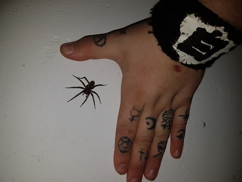 Klicka för att förstora Petitefleur skickade en bild