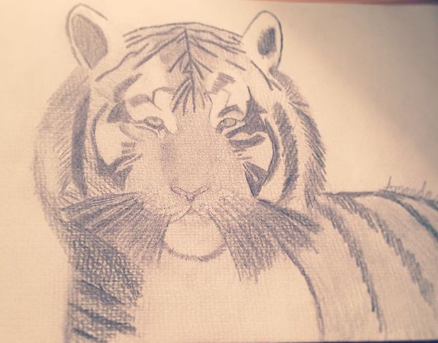 Klicka för att förstora Amanda_00 skickade en bild