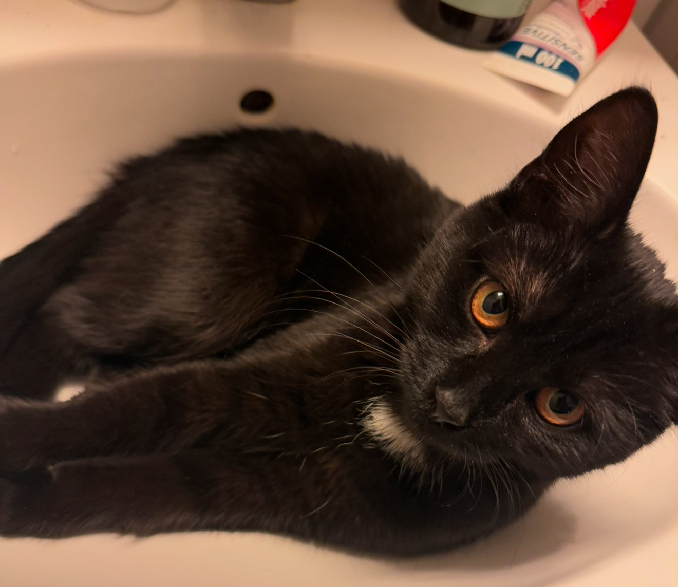 Klicka för att förstora PHNTCZ skickade en bild