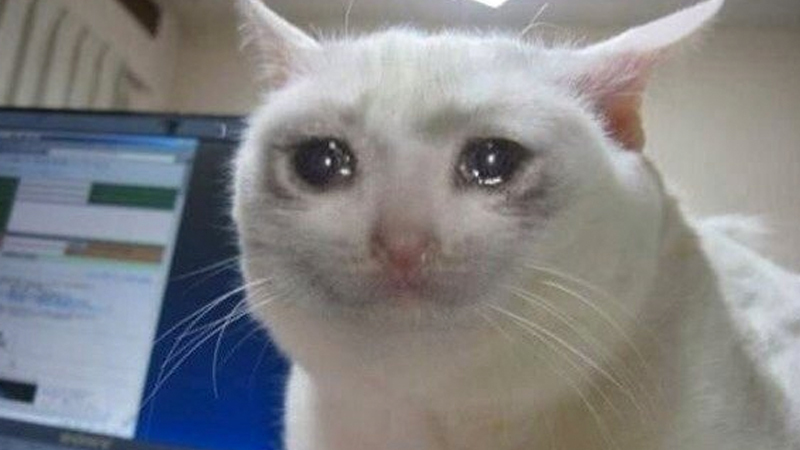 Klicka för att förstora cassandris skickade en bild