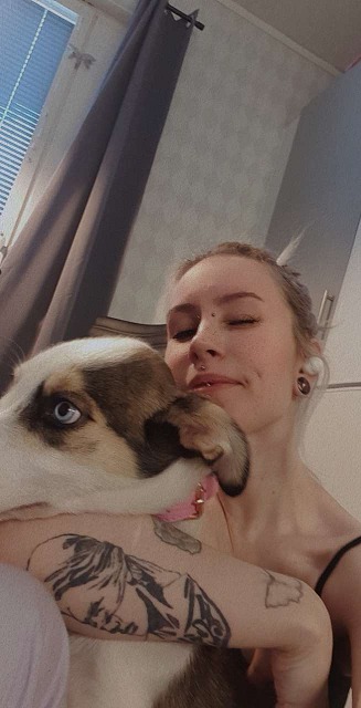 Klicka för att förstora Queen skickade en bild