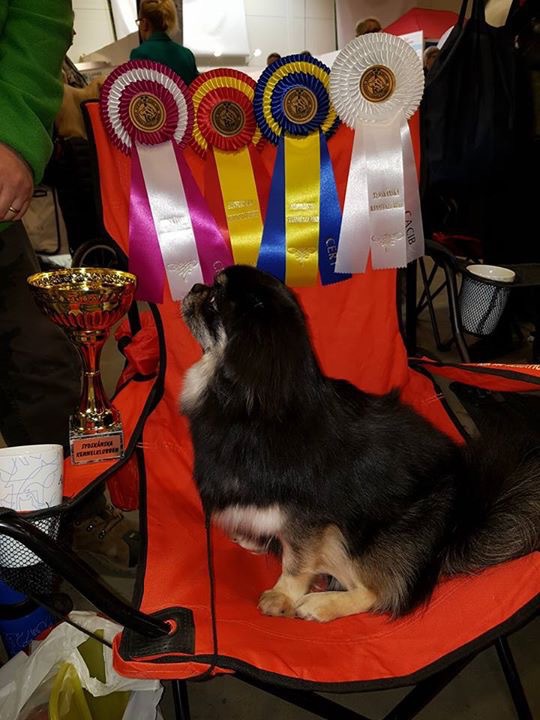 Klicka för att förstora TroyBolton skickade en bild