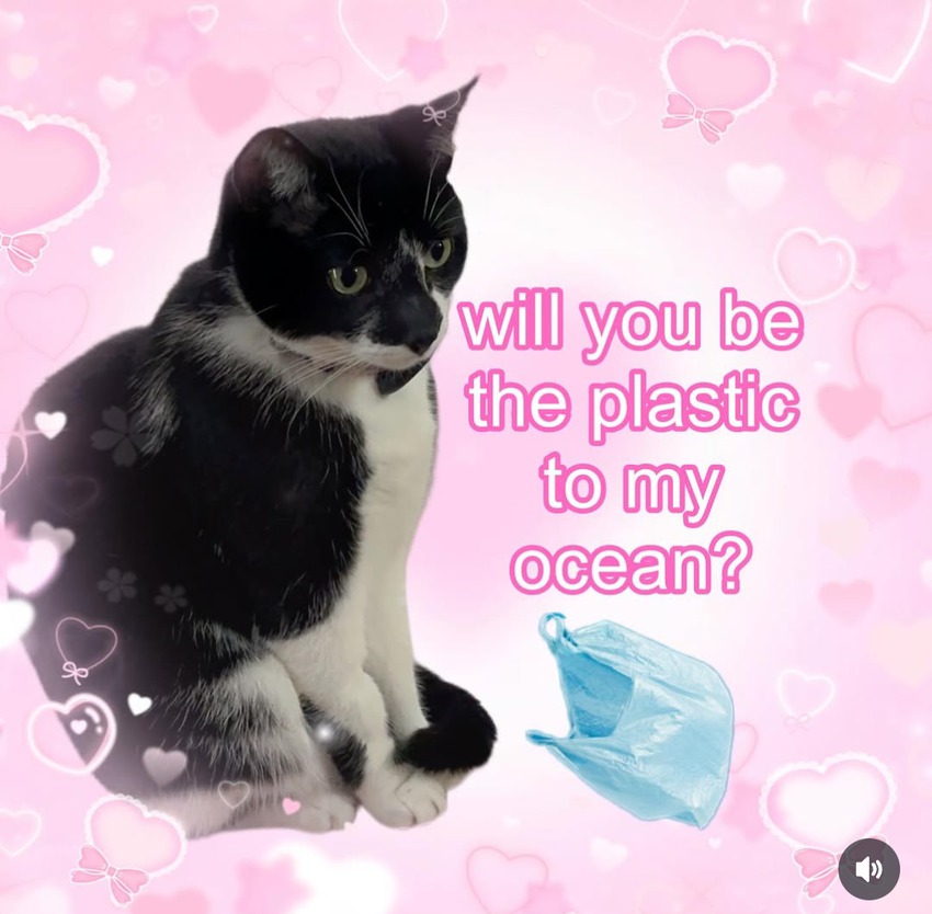 Klicka för att förstora Egen skickade en bild