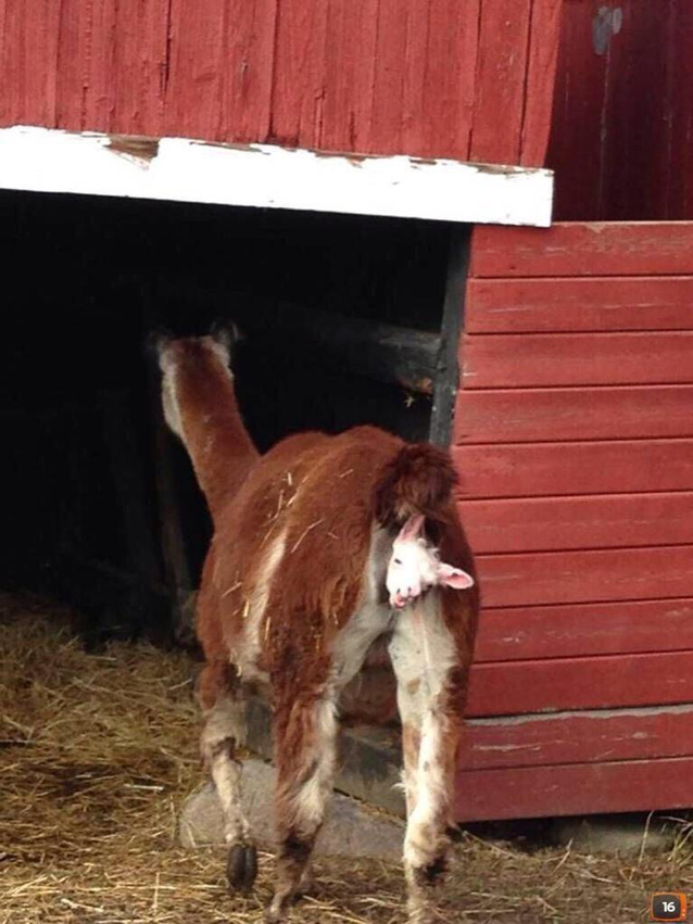 Klicka för att förstora Issa_Gumpsson skickade en bild