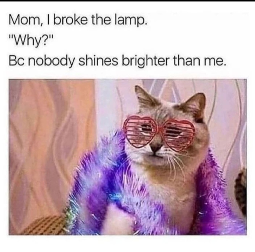 Klicka för att förstora FEJKPANDI skickade en bild