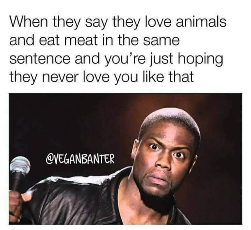 Klicka för att förstora FEJKPANDI skickade en bild