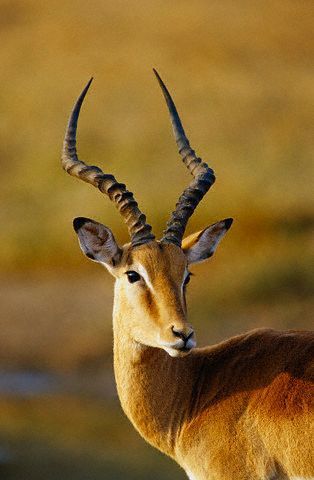 Klicka för att förstora lost_angels skickade en bild