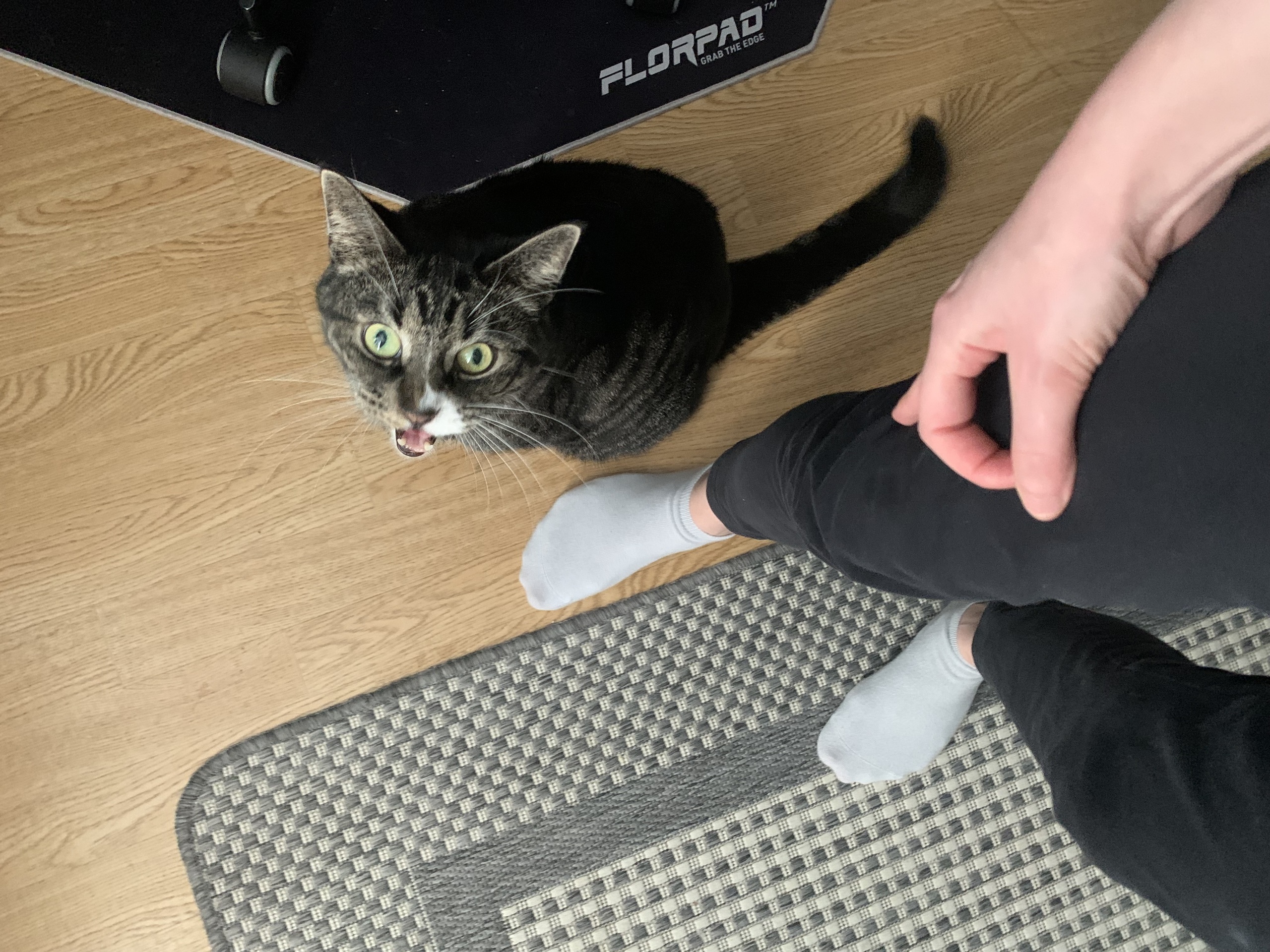 Klicka för att förstora tilda skickade en bild