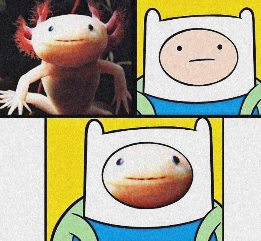 Klicka för att förstora Bellen skickade en bild