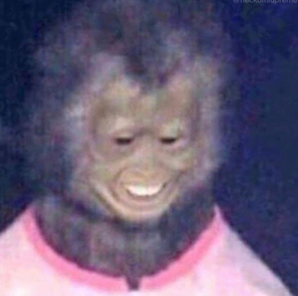 Klicka för att förstora Hannes skickade en bild