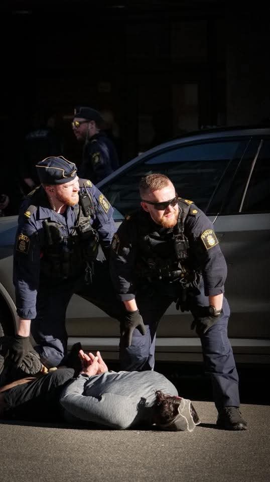 Klicka för att förstora Tammie skickade en bild