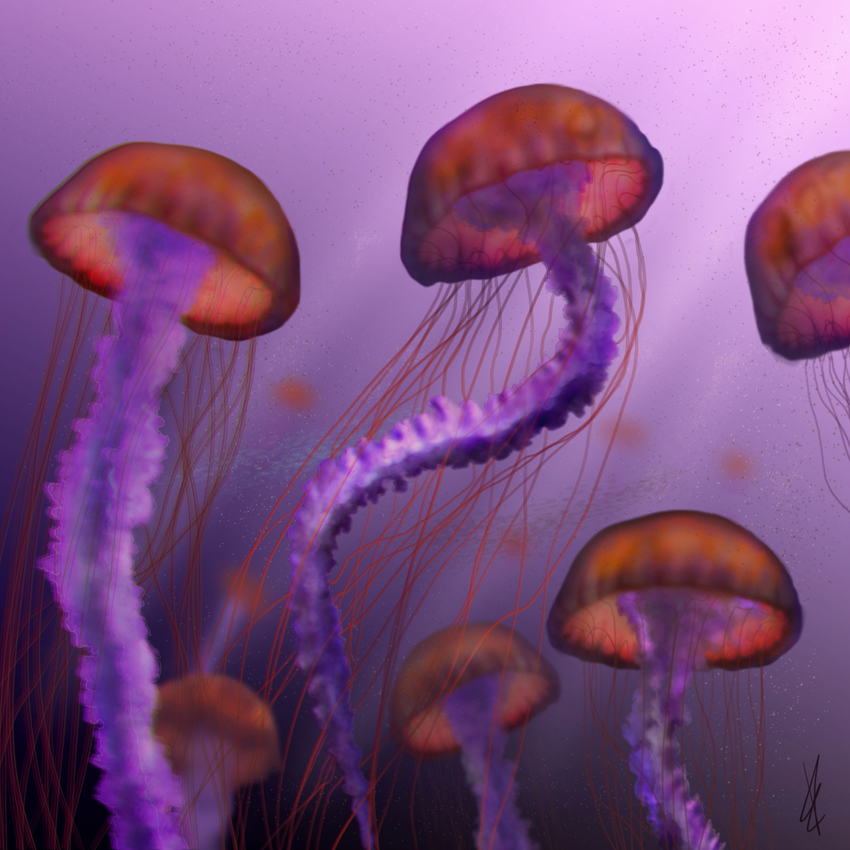 Klicka för att förstora E_Schwartz skickade en bild