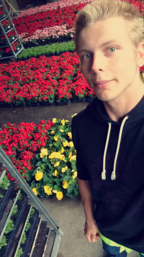 Klicka för att förstora Viruset skickade en bild