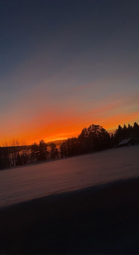 Klicka för att förstora elly skickade en bild
