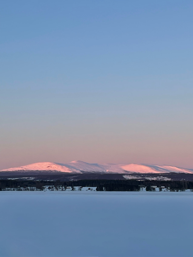 Klicka för att förstora elly skickade en bild