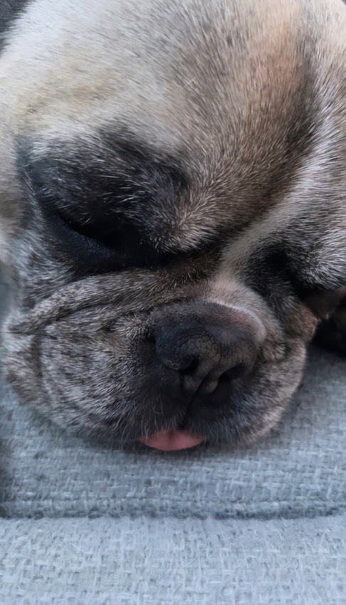 Klicka för att förstora elly skickade en bild