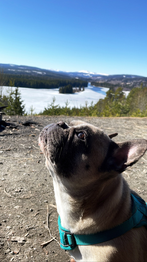 Klicka för att förstora elly skickade en bild