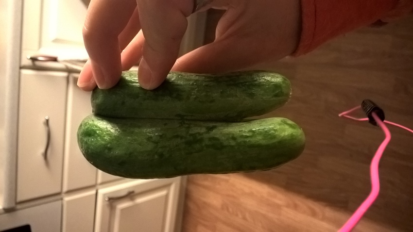 Klicka för att förstora Pelino skickade en bild