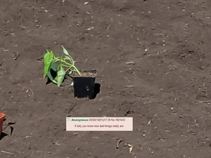 Klicka för att förstora Daddy_Kaczynski skickade en bild