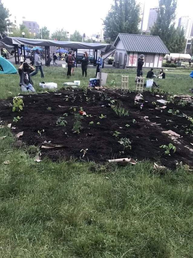 Klicka för att förstora Daddy_Kaczynski skickade en bild