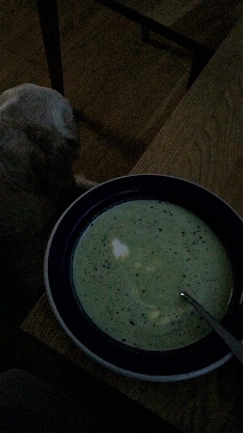 Klicka för att förstora lasagnes skickade en bild