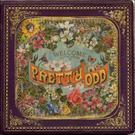 Pretty Odd.