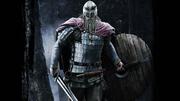 Viking Reenactment grupp