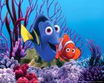 Alla som tycker hitta nemo äger