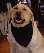 Bandanas