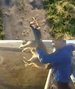 Hat mot han som kasta hund fr�n bro