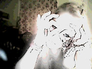 MrMiaaoo