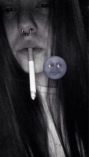 fittkatt