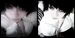 SpoOkY_x
