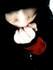 KillHerDarlings