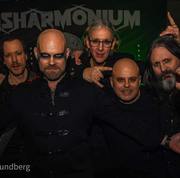 Disharmonium