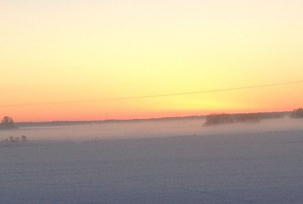 Morgondag