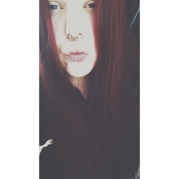 fittkatt