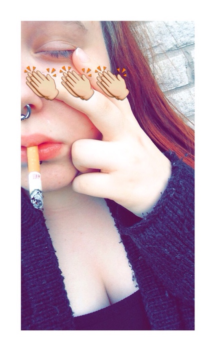 fittkatt