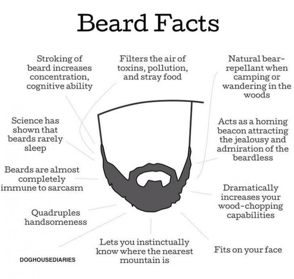Goldybeard