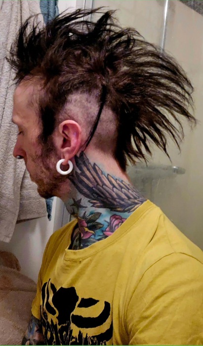 Soptunnekatt