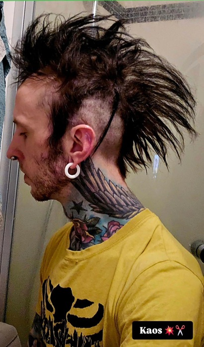 Soptunnekatt